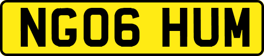 NG06HUM