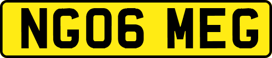 NG06MEG