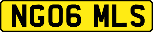 NG06MLS