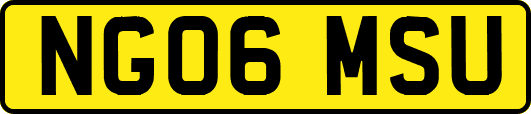 NG06MSU