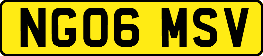 NG06MSV