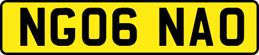NG06NAO