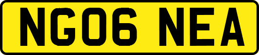 NG06NEA