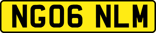 NG06NLM