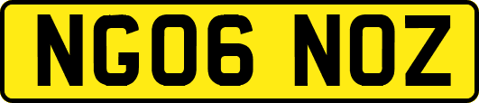 NG06NOZ