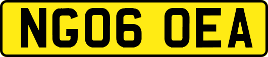 NG06OEA