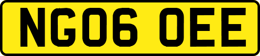 NG06OEE