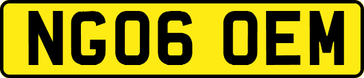 NG06OEM