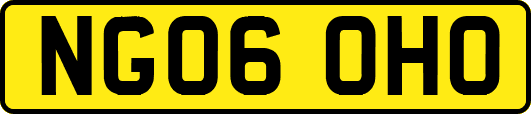 NG06OHO