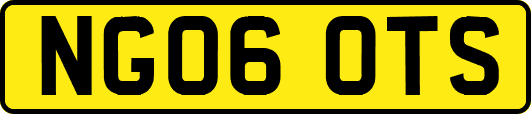 NG06OTS