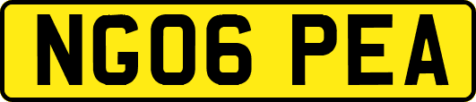 NG06PEA