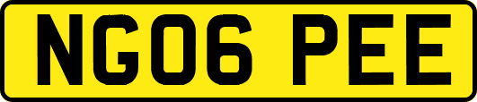 NG06PEE