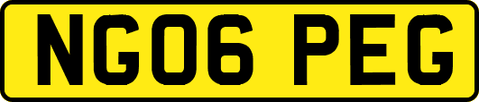 NG06PEG