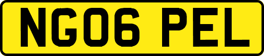 NG06PEL