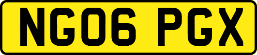 NG06PGX