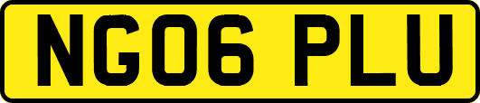 NG06PLU