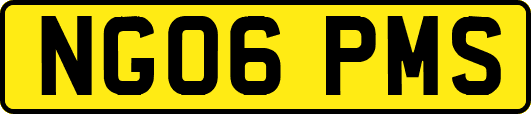 NG06PMS