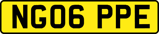 NG06PPE