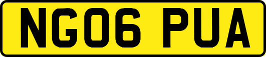 NG06PUA