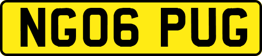 NG06PUG