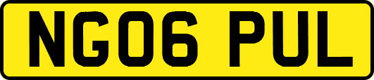 NG06PUL
