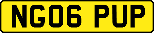 NG06PUP