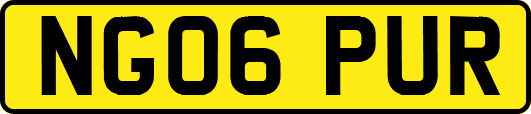 NG06PUR