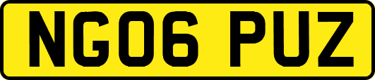NG06PUZ