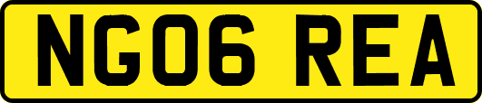 NG06REA
