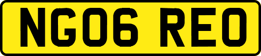 NG06REO