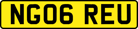 NG06REU