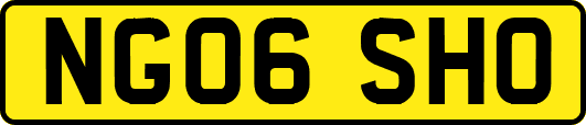 NG06SHO