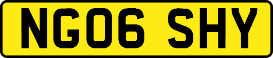 NG06SHY