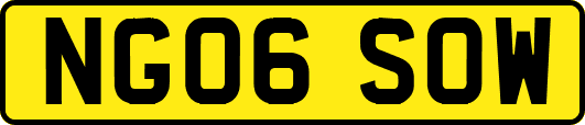 NG06SOW