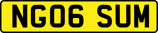 NG06SUM
