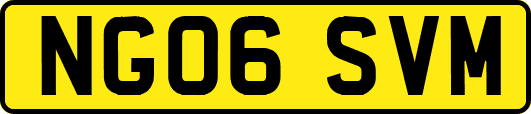 NG06SVM
