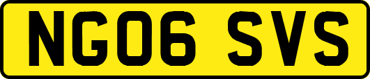 NG06SVS