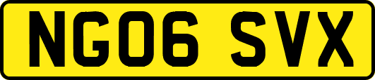 NG06SVX