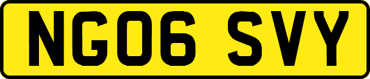 NG06SVY