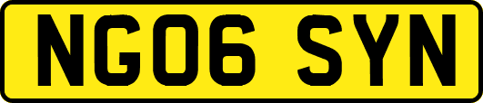NG06SYN