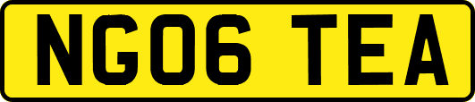 NG06TEA