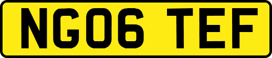NG06TEF