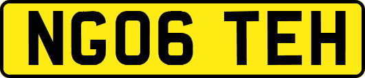 NG06TEH