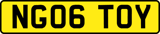 NG06TOY