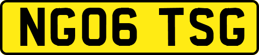 NG06TSG
