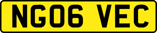 NG06VEC