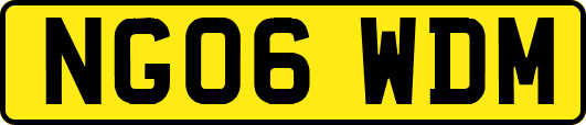 NG06WDM