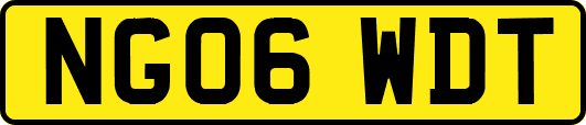 NG06WDT