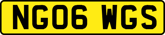 NG06WGS