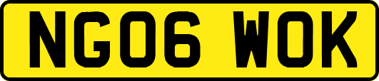 NG06WOK